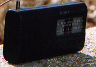 Sony ICF-310